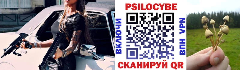 Купить где  Славск  Псилоцибиновые грибы мицелий 